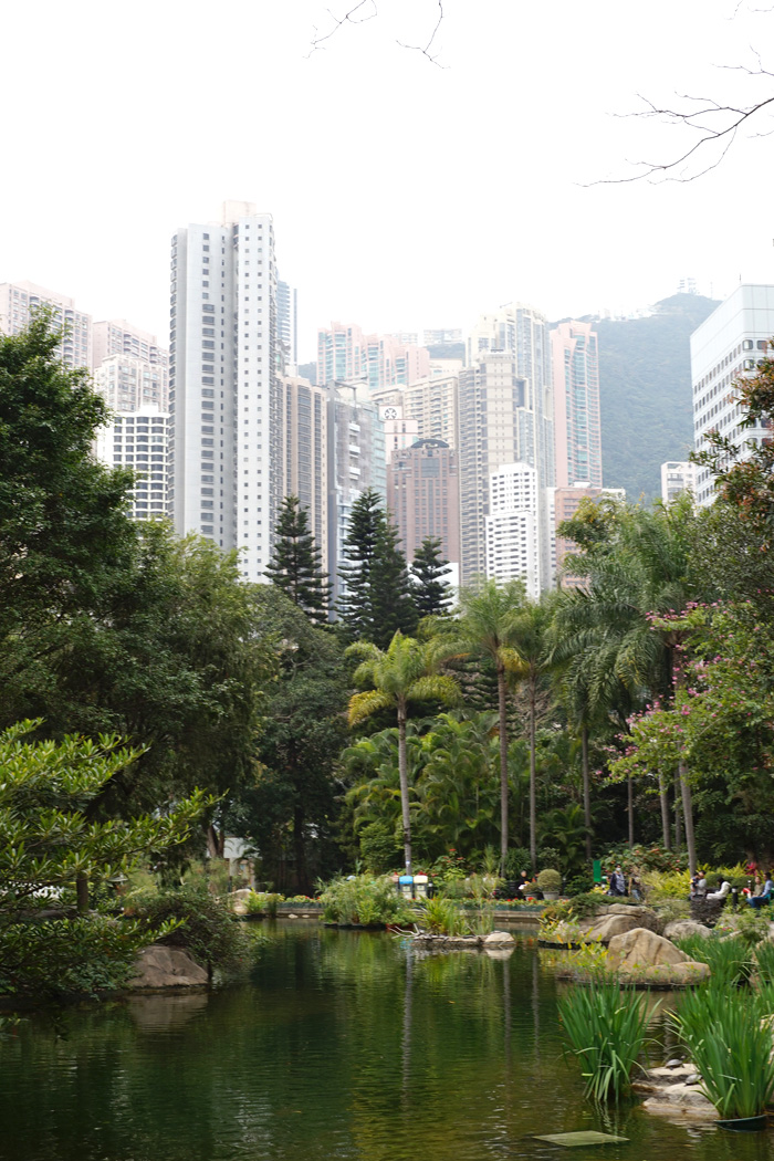 hongkongpark1
